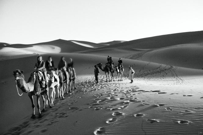 desierto en camello todas